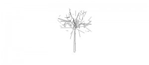 Árbol en 3 dimensiones