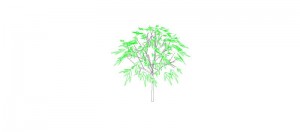 Árbol en 3 dimensiones