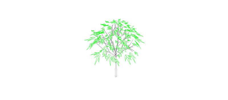 arbol3d04.jpg