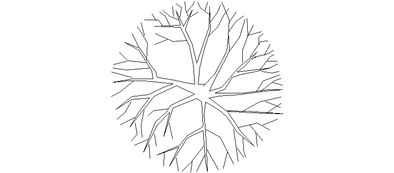 árbol en vista superior, 23