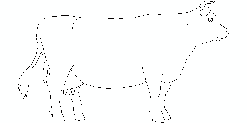 vaca vista en alzado lateral