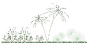 Vegetación y árboles